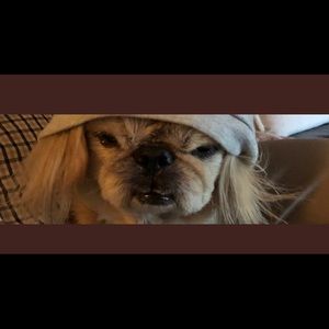 Meet your Posher, Bbonnie